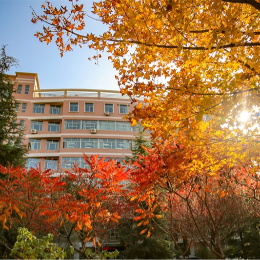 Autumn at LZJTU2