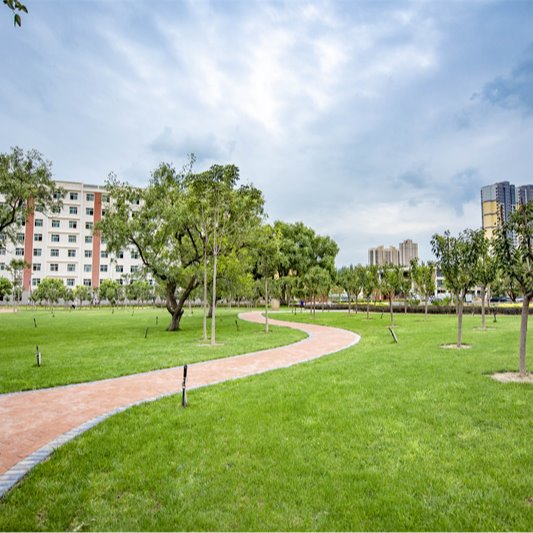 Hexie Garden2